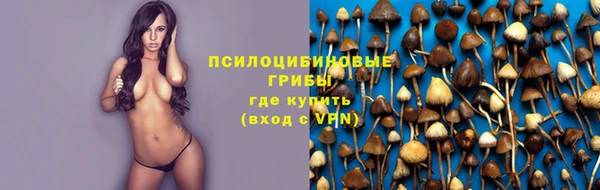 крисы Михайловка