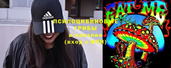 Альфа ПВП Михайловск
